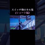 スイッチ勢フォトナキル集