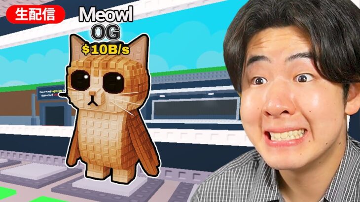 22:00にインドネシアアップデートが来る！！！(ブレインロットを盗む) + 進化もやるかも！