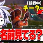 上位勢潰し？害悪チーターが36キルでソロ大会荒らしてたwww【フォートナイト/FORTNITE】