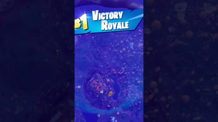DELULUで99%ビクロイできる小技がヤバすぎ…#フォートナイト #fortnite #shorts