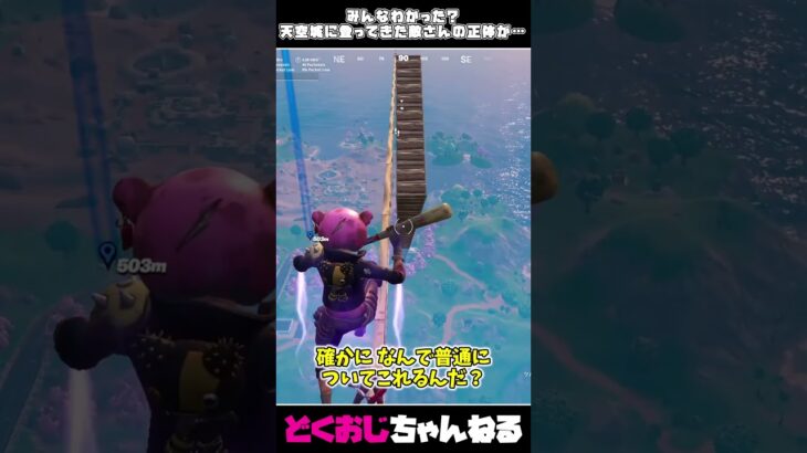 みんなわかった？天空城に登ってきた敵さんの正体がまさかのあの人だった！？ #フォートナイト #FORTNITE #天空城 #ゆっくり実況