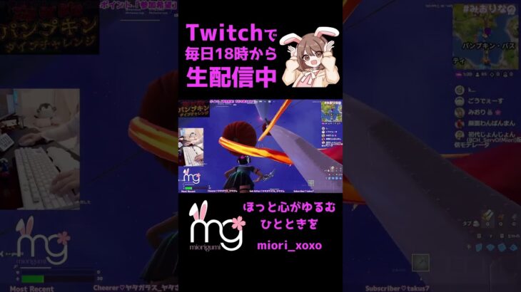 【ジップ・オア・ダイ】橋から直降りチャレンジ!【FORTNITE/フォートナイト/フォトナ/みおり/Twitch切り抜き】