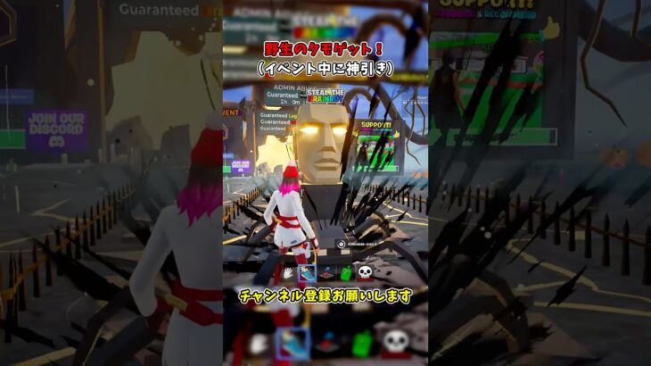野生のクモゲット！【フォートナイト/Fortnite/ブレインロット】