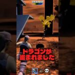 ドラゴンが盗られました#fortnite #フォートナイト#ブレインロット