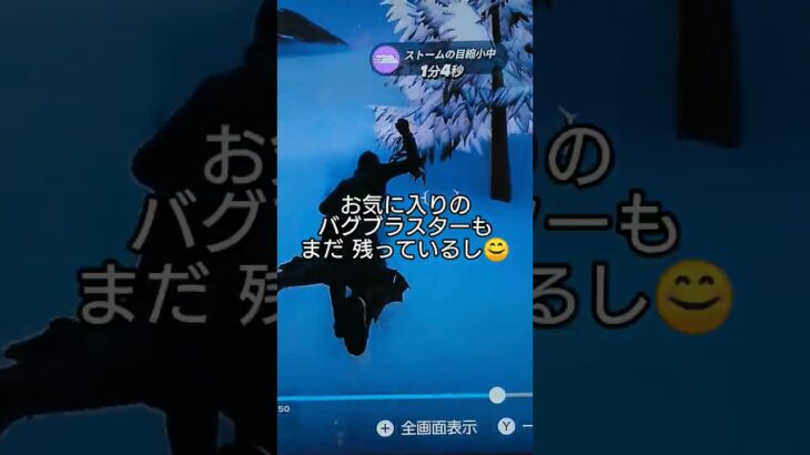 #フォートナイト#フォトナ#fortnite#ビクロイ#チャレンジ#りくはな😊 応援 よろしく お願いします‼️