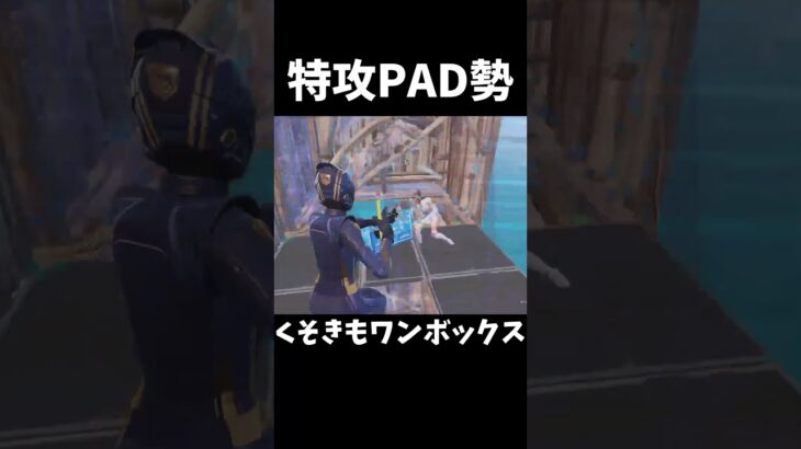 階段反転ってまだ強いの？ #フォートナイト #クリップ集 #fortnite #かっこいいキル集 #キルショット #フォトナ #ショート法 #ショート