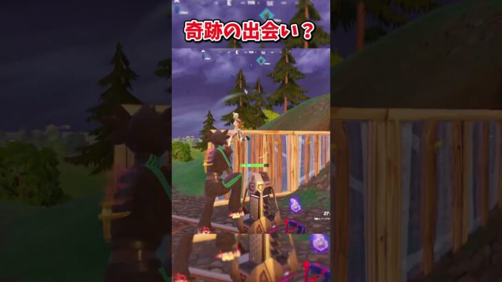 この出会いは奇跡だと思う【フォートナイト/ゆっくり実況/fortnite/ふぉとな/フォトナ】#shorts　#fortnitefunny