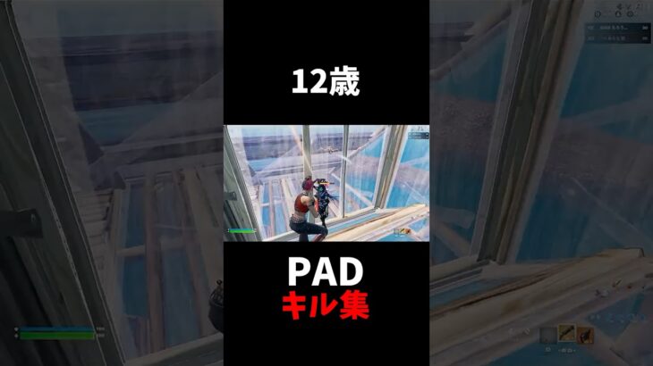12歳PAD最強のキル集【Raining Tacos】