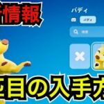 バトルパスのペット2匹目の入手方法やバディの名前を変更する方法は?ギフトカードが◯◯でも?ワンタイムイベント開催？【フォートナイト】今日のアイテムショップに新スキンは？無料ツルハシの使用感を紹介！