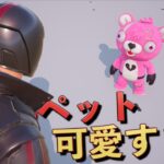 新要素の『ペット』が可愛すぎるんだけどおおおおおお！！！【FORTNITE/フォートナイト】