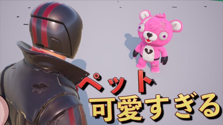 新要素の『ペット』が可愛すぎるんだけどおおおおおお！！！【FORTNITE/フォートナイト】