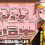 ガチで上位取りにいくソロシリーズ予選！【FORTNITE/フォートナイト】