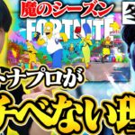 プロからしたら闇のシーズン！？フォトナプロがこぞって冬眠してる訳とは・・・【フォートナイト/Fortnite】