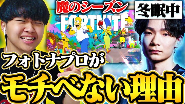 プロからしたら闇のシーズン！？フォトナプロがこぞって冬眠してる訳とは・・・【フォートナイト/Fortnite】
