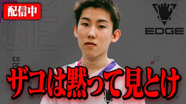 ぱぱとリロード大会決勝　【フォートナイト/Fortnite】