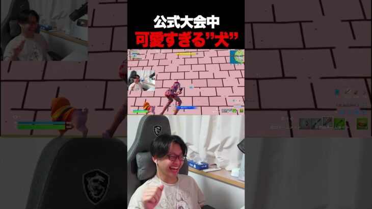 可愛すぎる犬ｗｗｗｗｗｗｗｗ【フォートナイト/Fortnite】