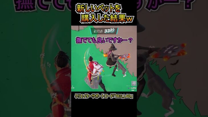 新しいペット（バディ）を購入した結果ｗｗ【フォートナイト/Fortnite】#shorts