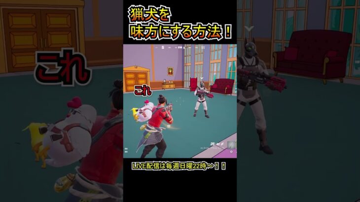 【攻略】猟犬を味方にする方法！！【フォートナイト/Fortnite】#shorts