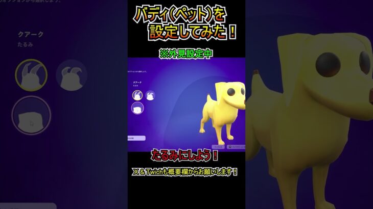 【新要素】バディ（ペット）を設定方法！！！【フォートナイト/Fortnite】#shorts