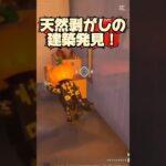 【LEGO】天然の剥がし建築見つかる‼️  #レゴフォートナイト #legofortnite