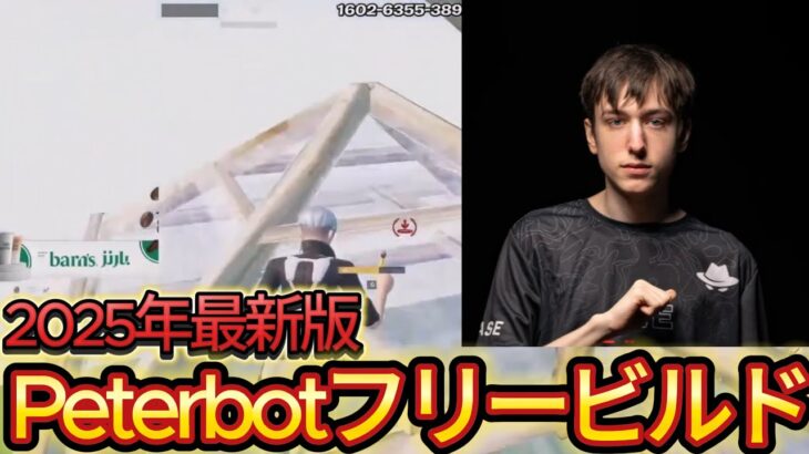 【最新版】世界王者Peterbotのフリービルド Peterbot freebuild【フォートナイト/Fortnite】