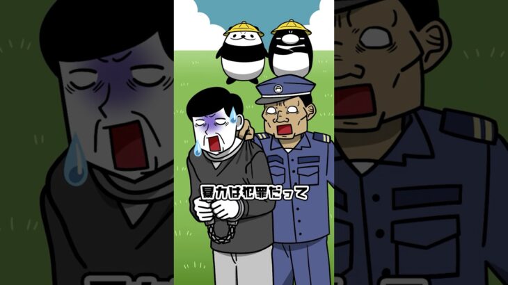 【スカッと】小学生に論破された暴力おじいさんの末路【実話】