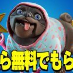 【見逃し厳禁！】全員無料！スターワンド・バディ・人気スキンを無料で入手する方法を紹介します！【フォートナイト】