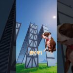 落下死どこまでいけるかチャレンジ！🐶🎧　#フォートナイト