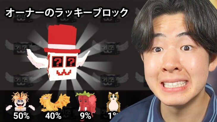 オーナーラッキーブロックを盗めたので大量に開けてみたら…(ガチでエグイ)